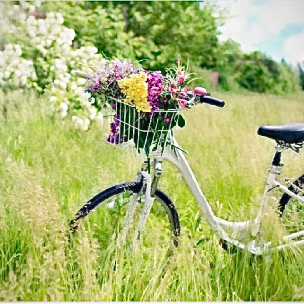 Happy Spring!🌷